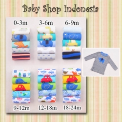 LK062 Carters Tee 5in1 Lengan Panjang Boy 110 copy  large